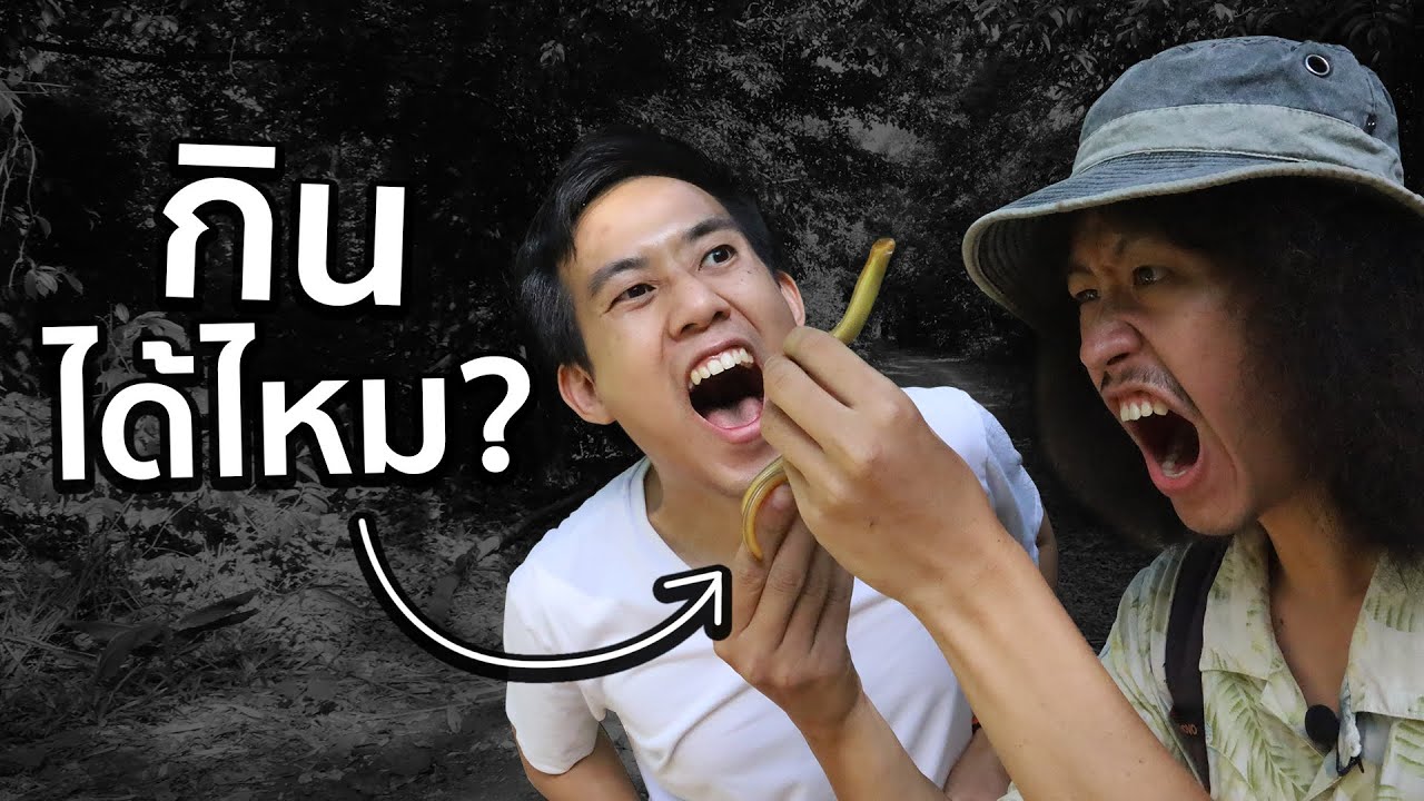 หาของกินในป่าได้ไหม!? ft. JoCho