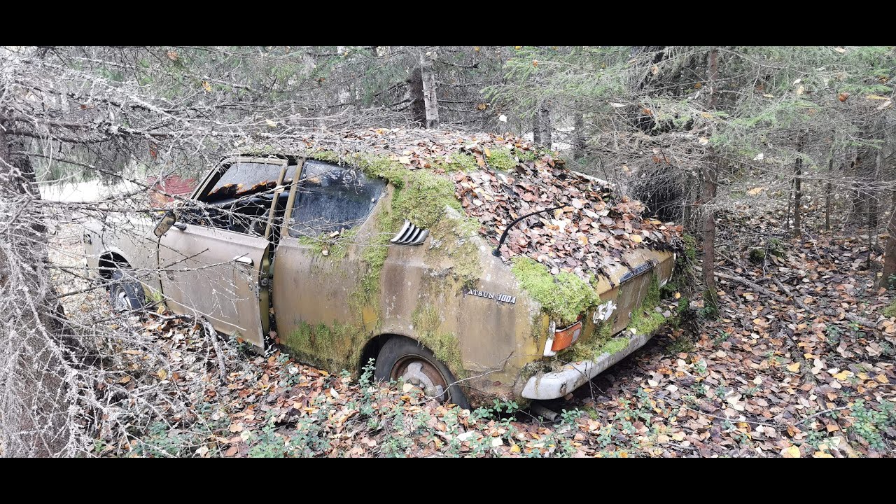Iso autolaani täynnä metsäautoja (Ei kommentteihin sijaintia)