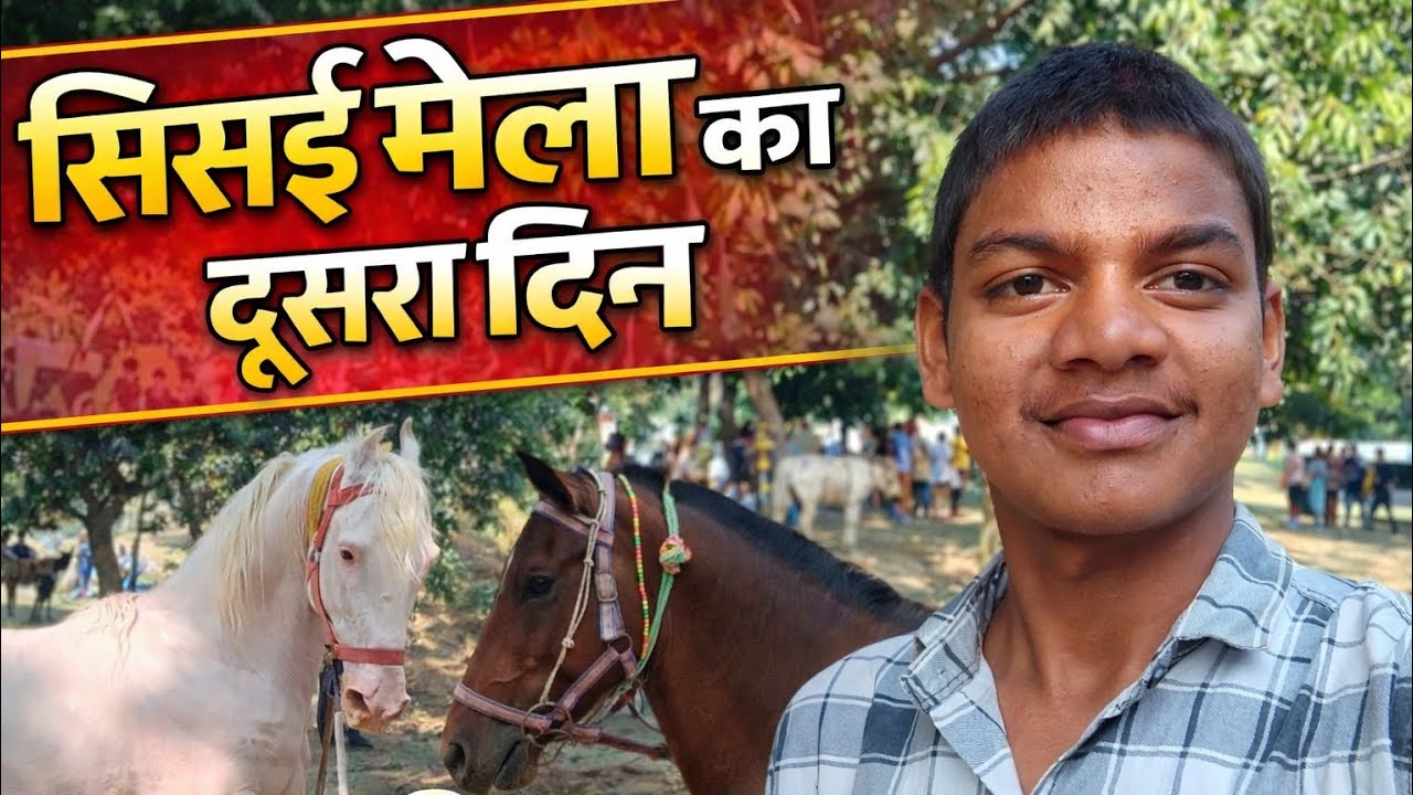 सिसई मेला का दूसरा दिन का Video 📹  #new #long #video #viral #trending #video 