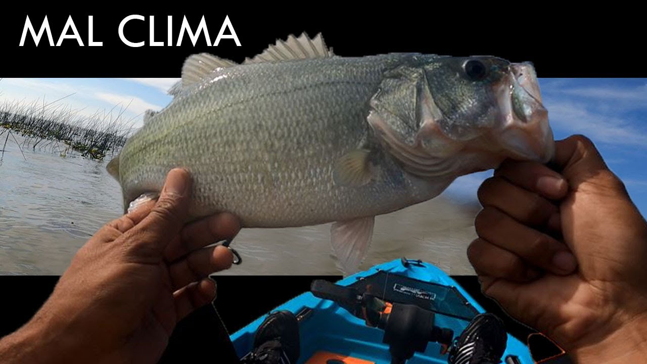 Pescando desde el KAYAK en CHAPALA-(Se me olvido el ancla)