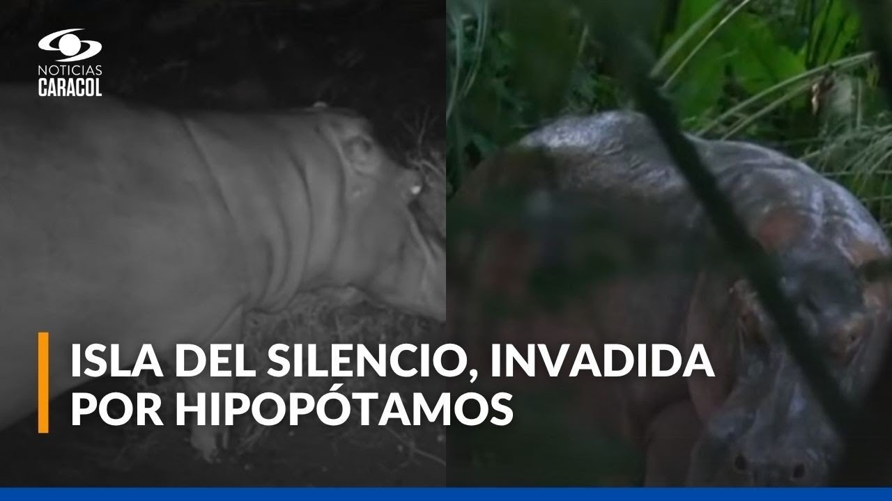 As&iacute; es la Isla del Silencio, el territorio en Boyac&aacute; del que se apoderaron los hipop&oacute;tamos