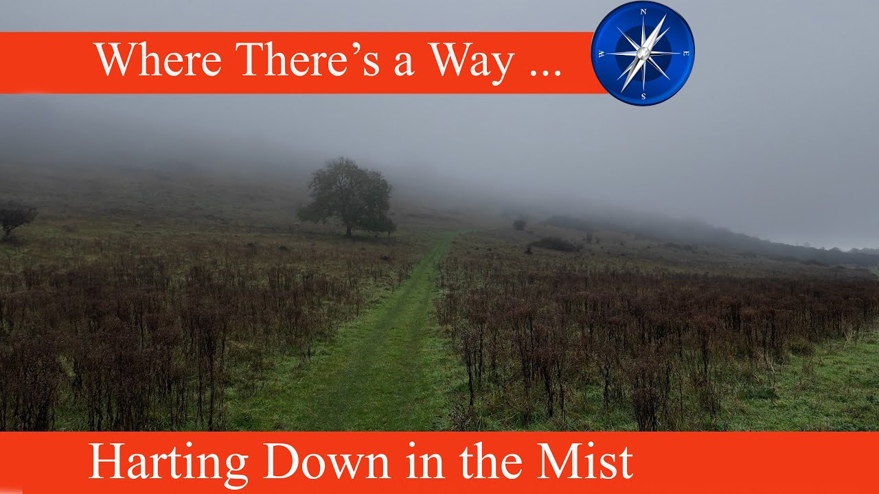 Harting Down in the Mist
