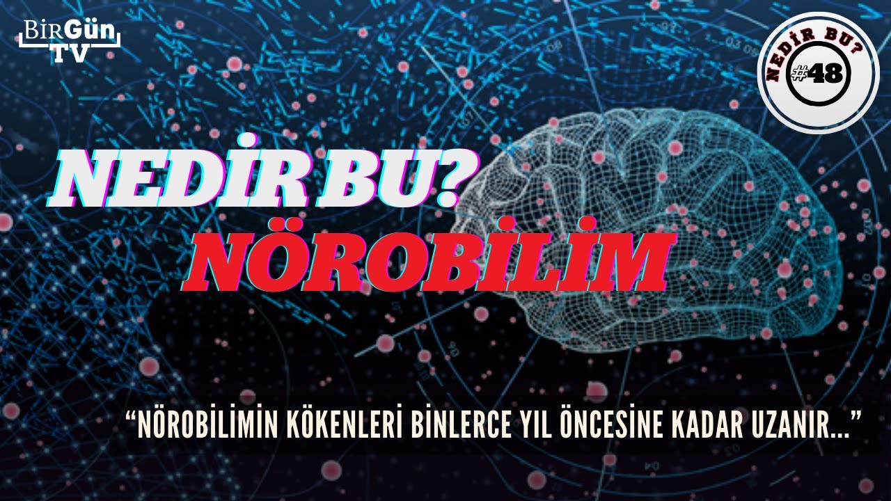 Nedir bu: N&ouml;robilim? Alt dalları nelerdir? Teknolojinin n&ouml;robilime katkıları nelerdir?