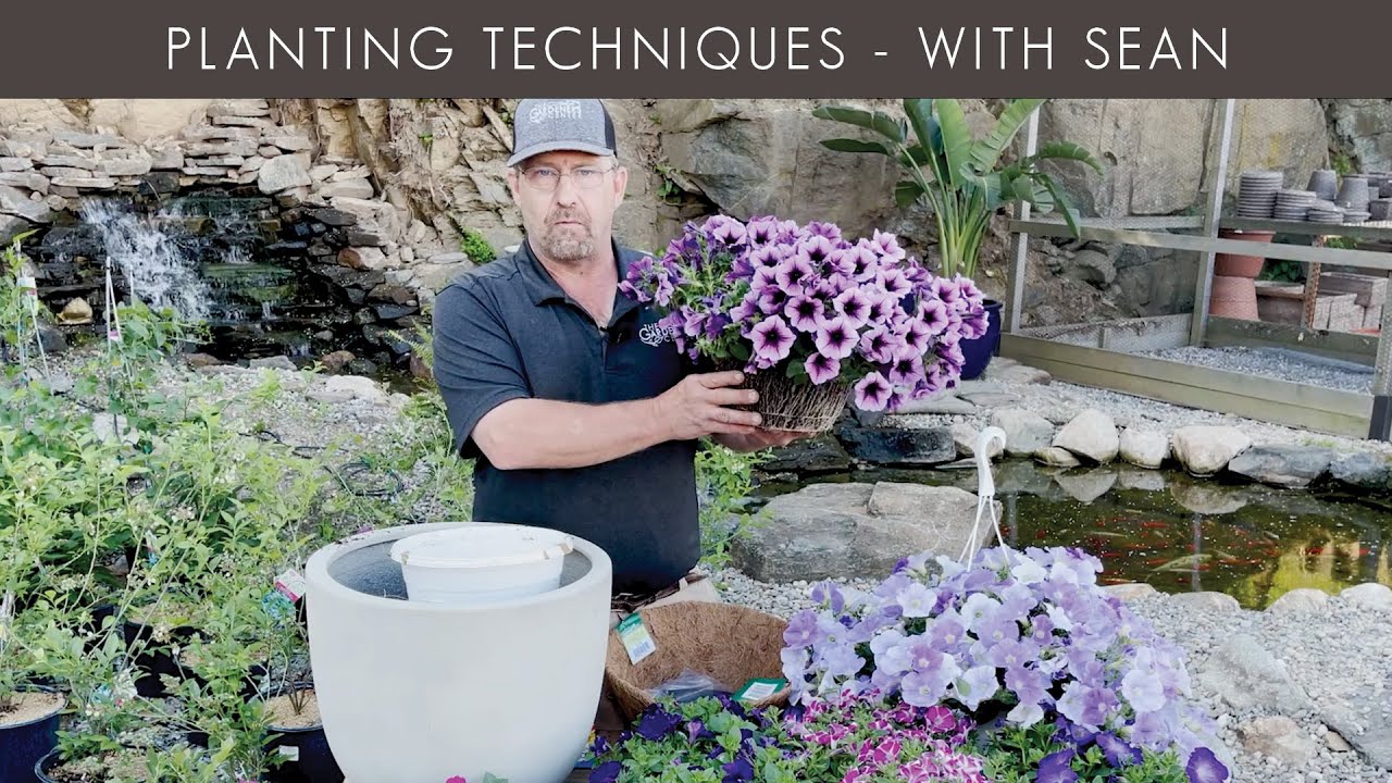 Let's Talk Planting Techniques for Annuals 🌸 Pro Talk with Sean at The Gardener's Center