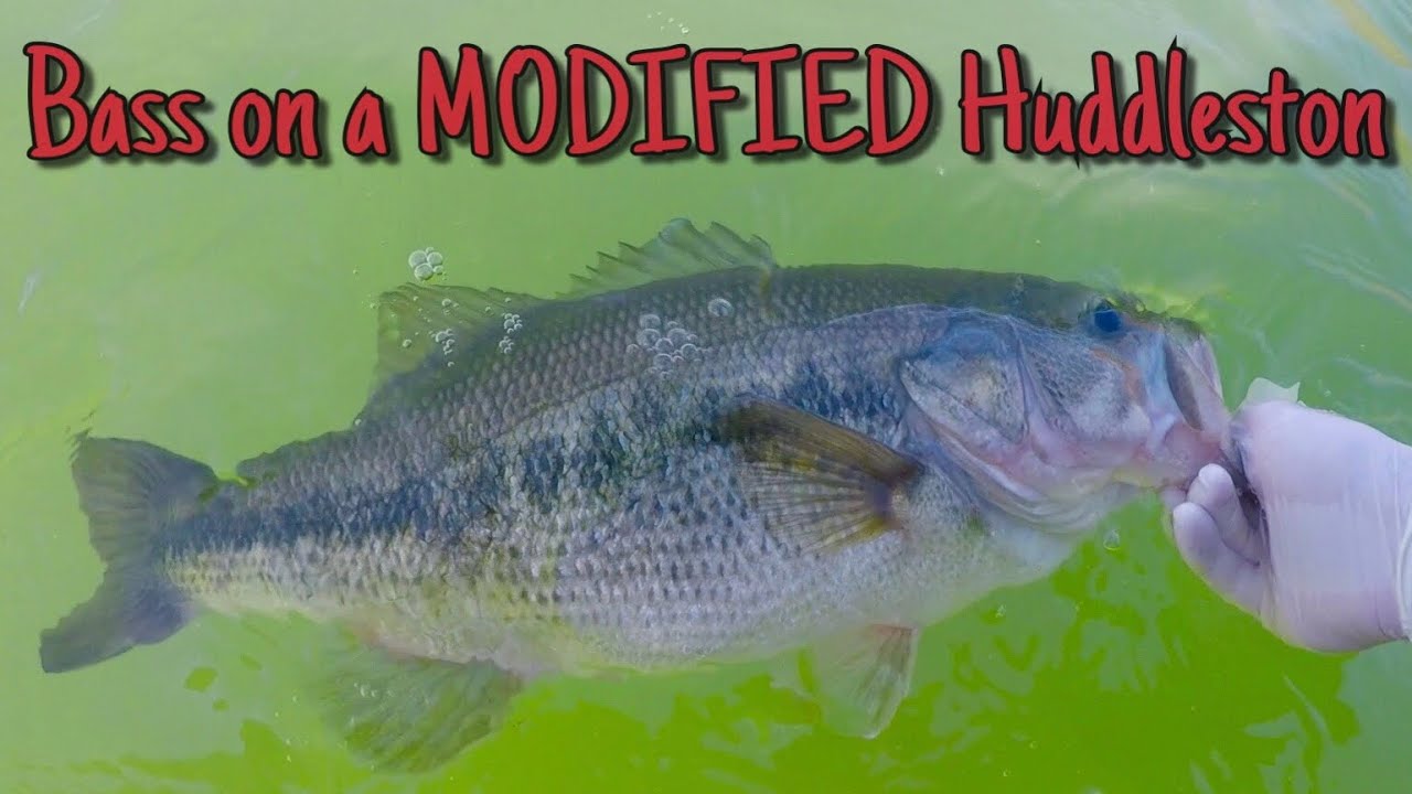Spring Swimbait Fishing &ldquo;Huddleston 68 Special