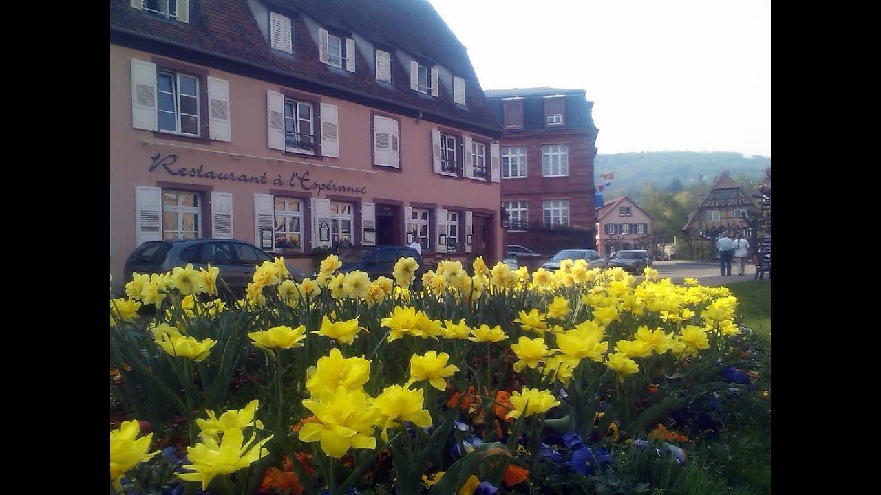 Wissembourg magnifique ville fleurie  en Alsace