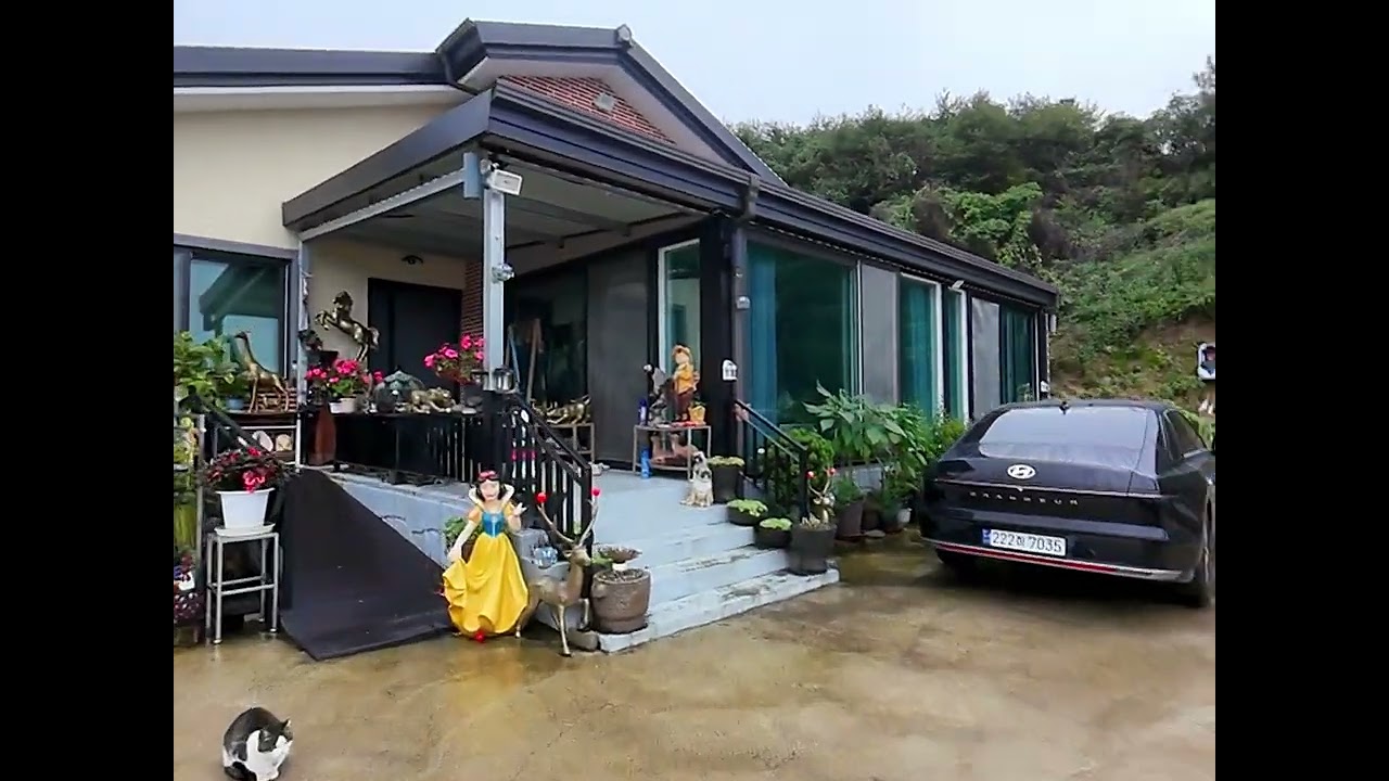 초보 meteor75 pro 시골집