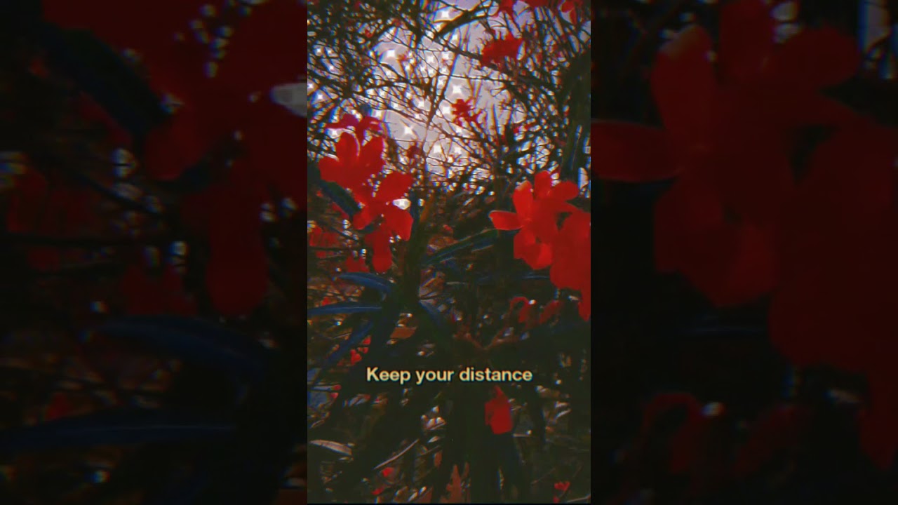 Losing Interest🥀  #aesthetic#edit#edits#lofi#lofiedit#aestheticvideo#aestheticsong#yt#youtube#ytshor