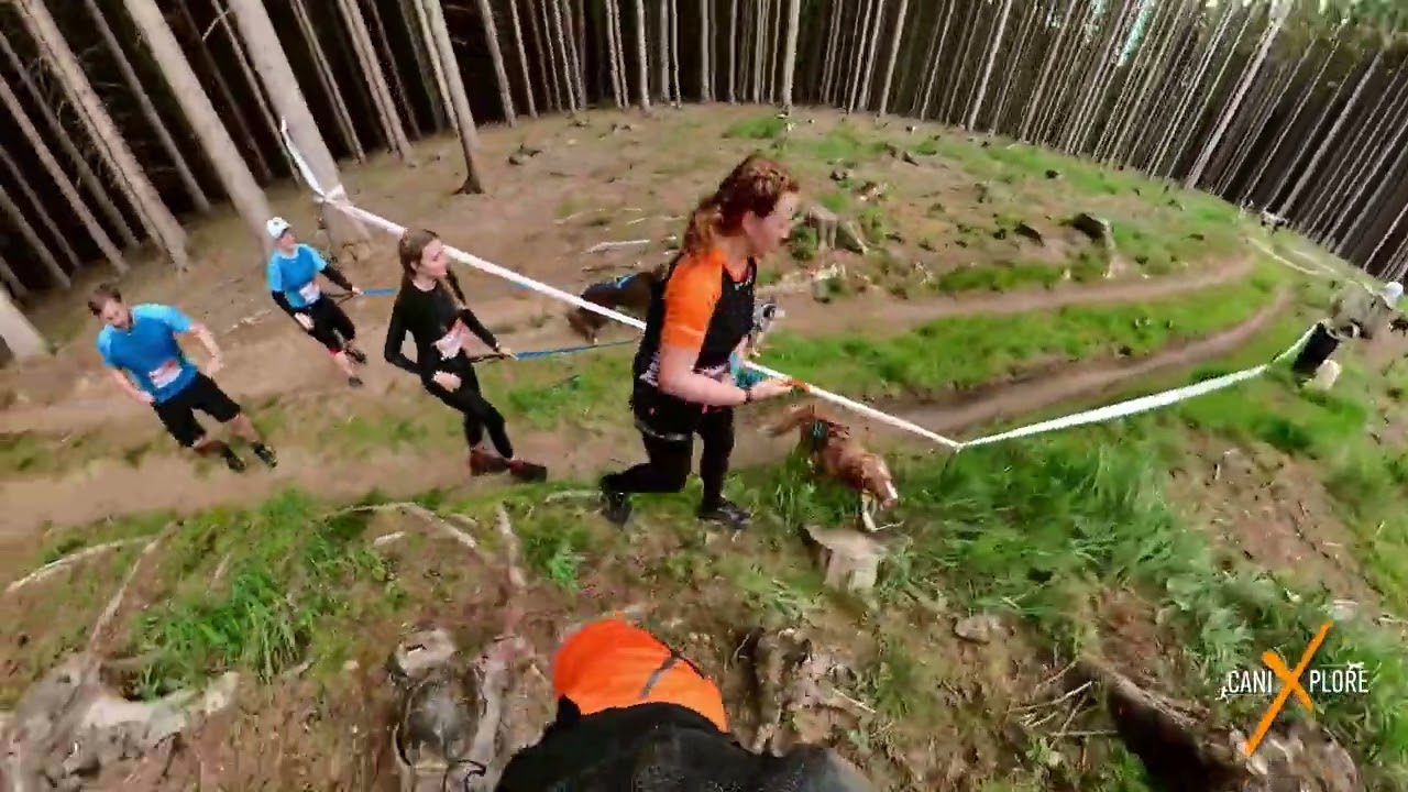 Hard Dog Race (HDR) 2025 - Pacov, Czech (6km Canicross Obstacle Race)