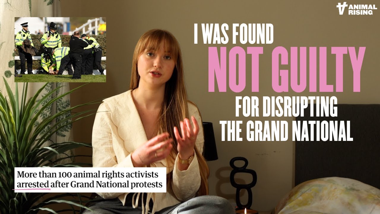 NOT GUILTY for disrupting the Grand National | Sarah on taking direct action to protect horses