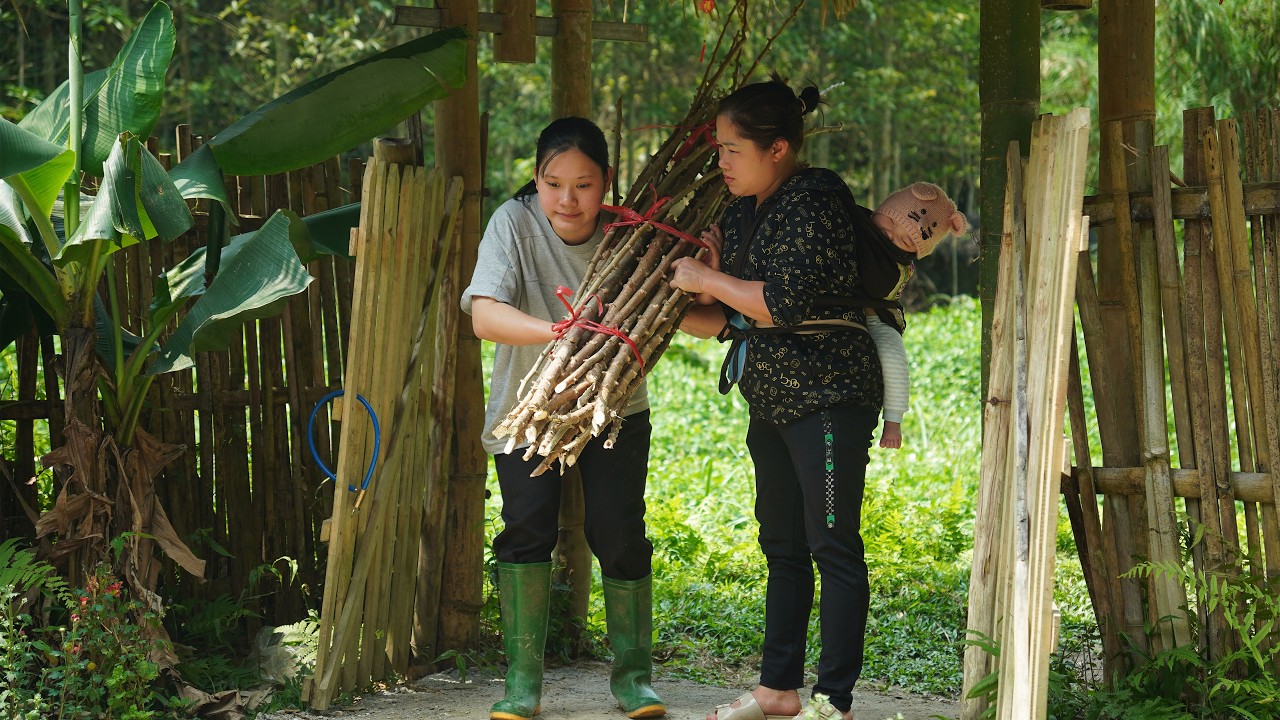 Single mother two children- Yen's diligence continued after Manh left, abandoning their two children