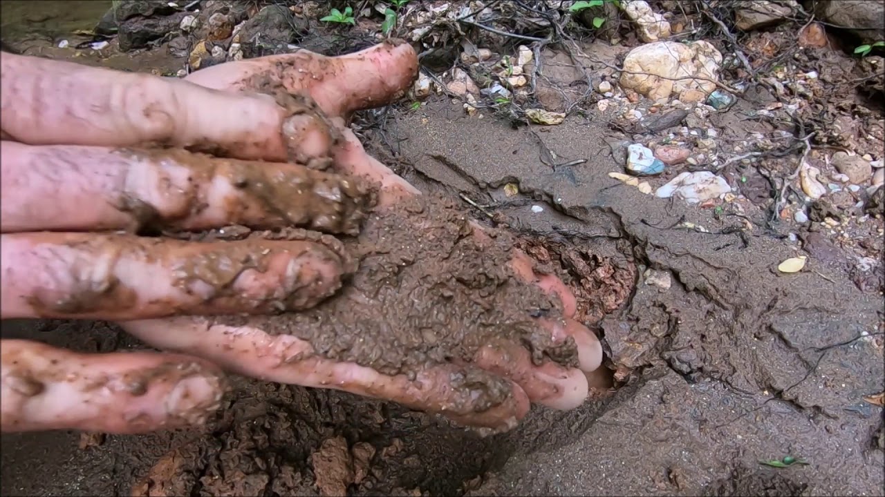 Metal Detecting A Stream Camp