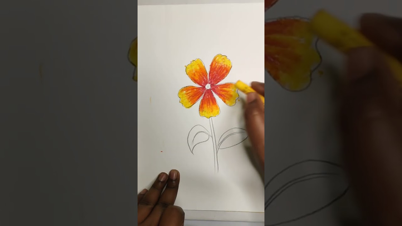 How to draw a flower 💐फूल कैसे बनाएं