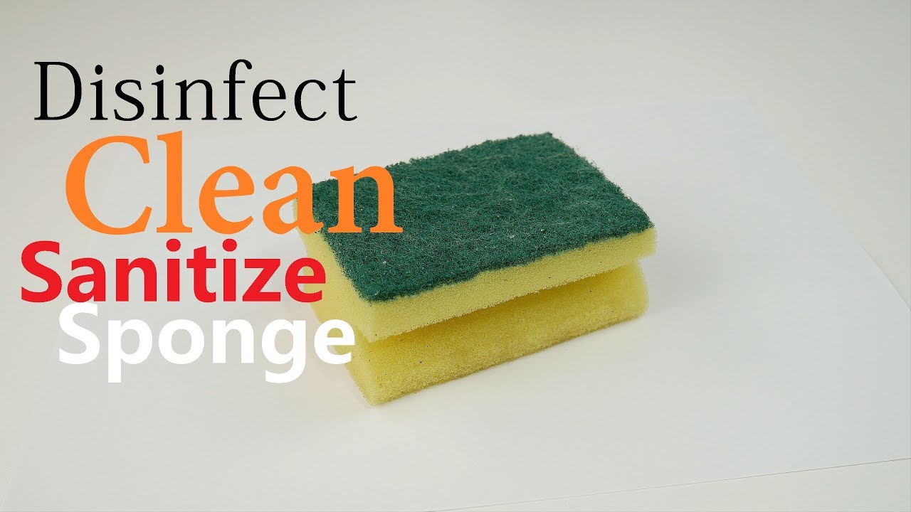 How To Sanitize Clean Disinfect Kitchen Sponge Easy Simple
