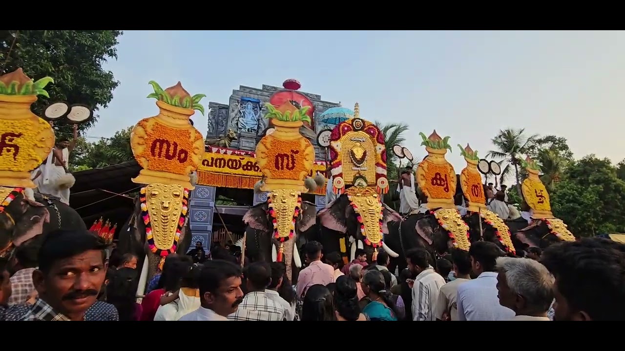 പനയ്‌ക്കറ്റോടിൽ പൂരം 2025#pooram #thrikadavoor_shivaraju #pooramvibes #kerala #pooram 