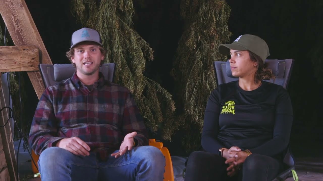 Meadow Mountain Hemp Vision
