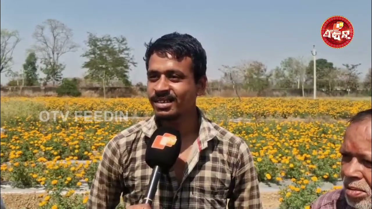 ରୋଜଗାର ଦଉଛେ ଫୁଲଚାଷ