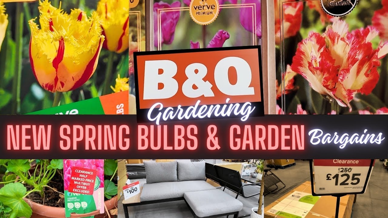 New in B&Q Gardening! 🌷 Spring Bulbs | Garden & Plant Bargains | Shop with Me Aug 2025 🛒