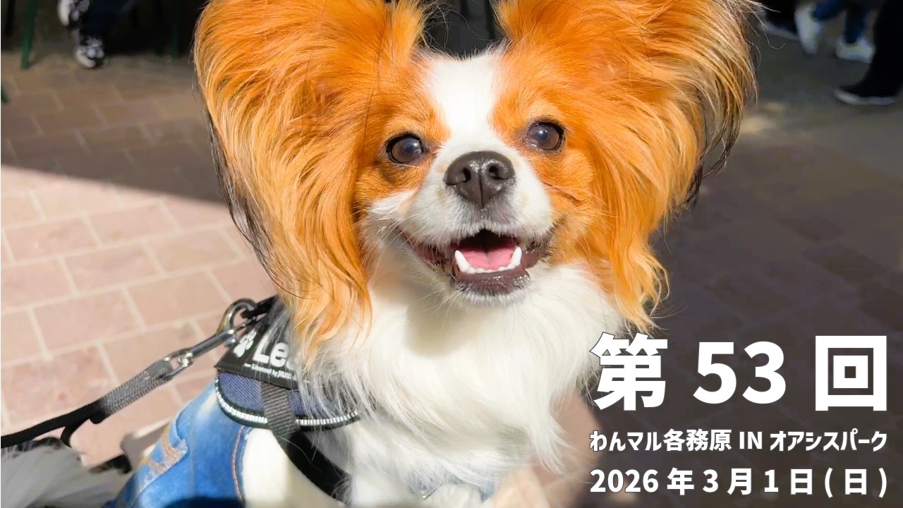 第53回 わんマル各務原inオアシスパークにお出掛け