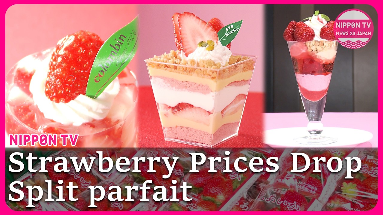 The ‘half parfait’ secret: Instagrammable & good deals 