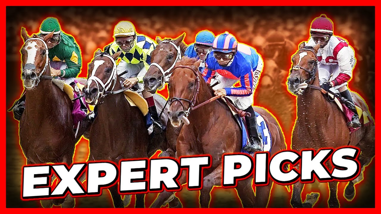 Kentucky Derby 2025 Expert Picks (COMPILATION)