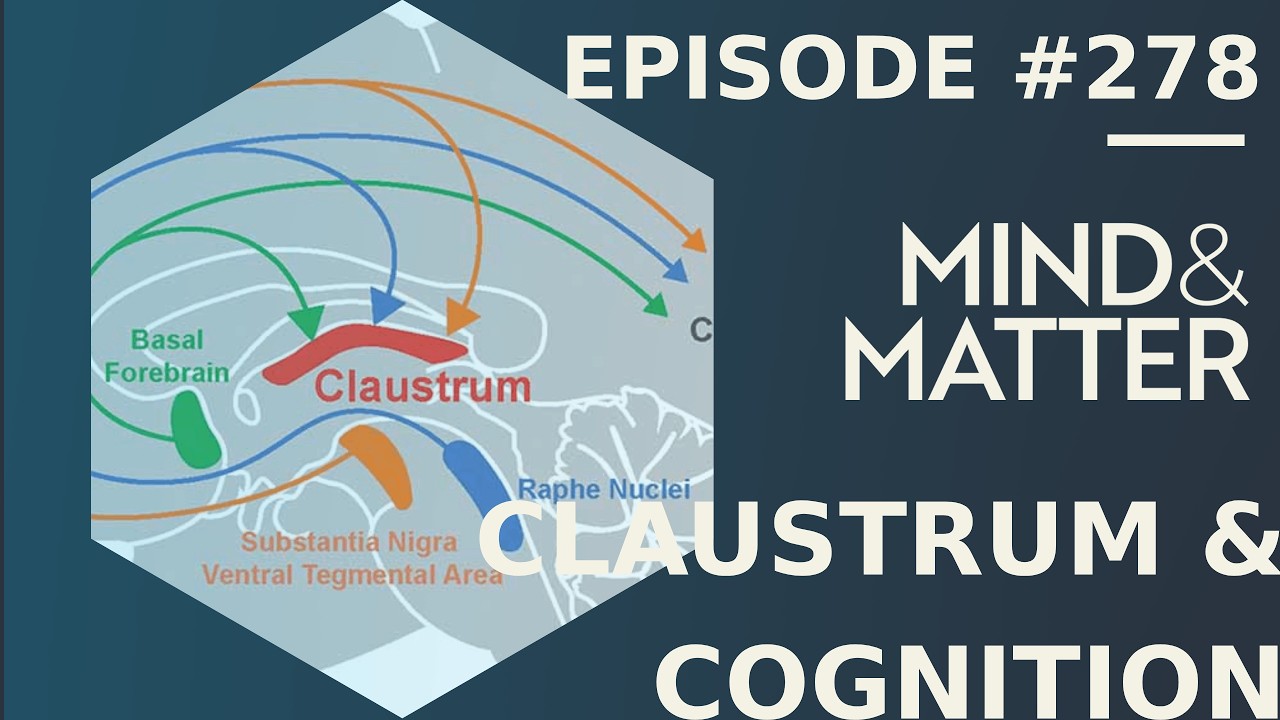 The Claustrum  Cognition, Consciousness, Alcohol & Psychedelics | 278