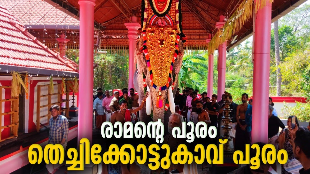 രാജാവിന്റെ പൂരം 👑😎 തെച്ചിക്കോട്ടുകാവ് പൂരം 🔥🥰 | Thechikottukavu Pooram 2024 | Thechikottukavu Pooram