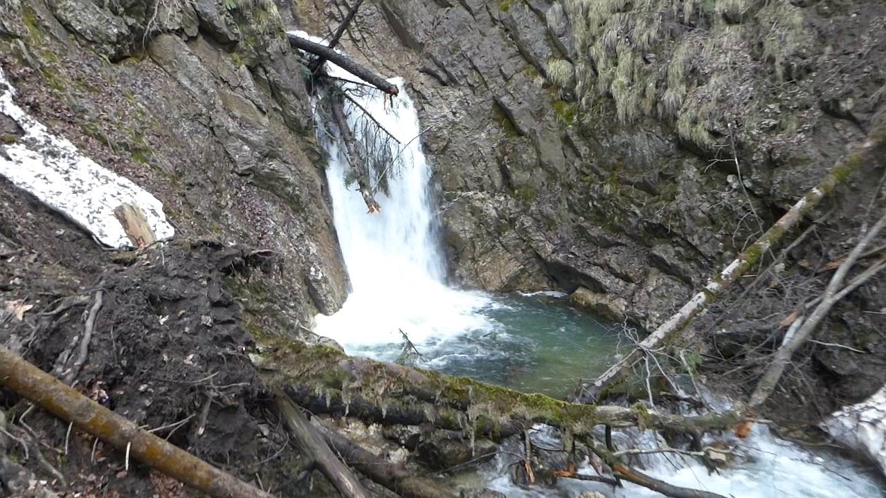 Wildnis bei  Sachrang