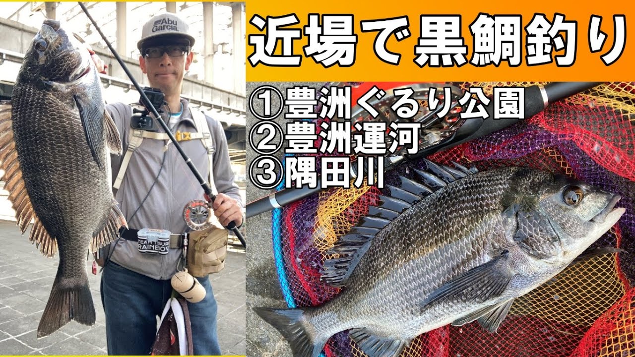 ヘチ釣り・近場で黒鯛釣り3選「豊洲ぐるり公園・豊洲運河・隅田川」