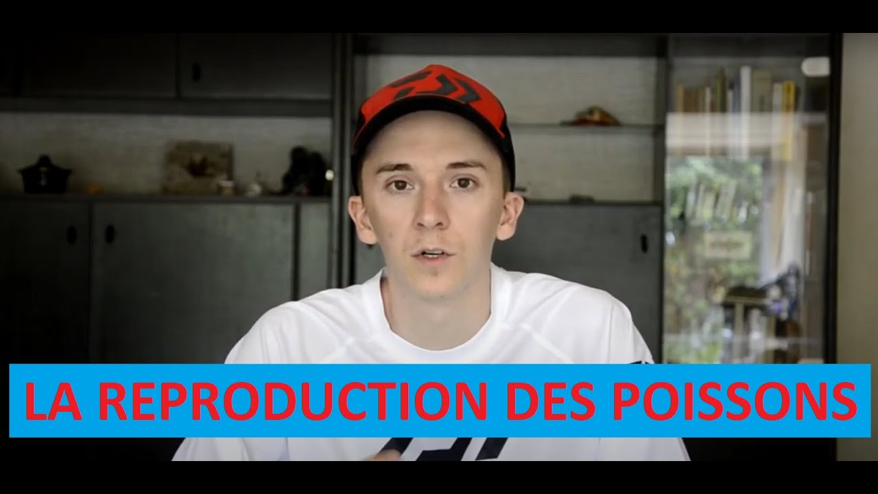 La reproduction des poissons d'eau douce