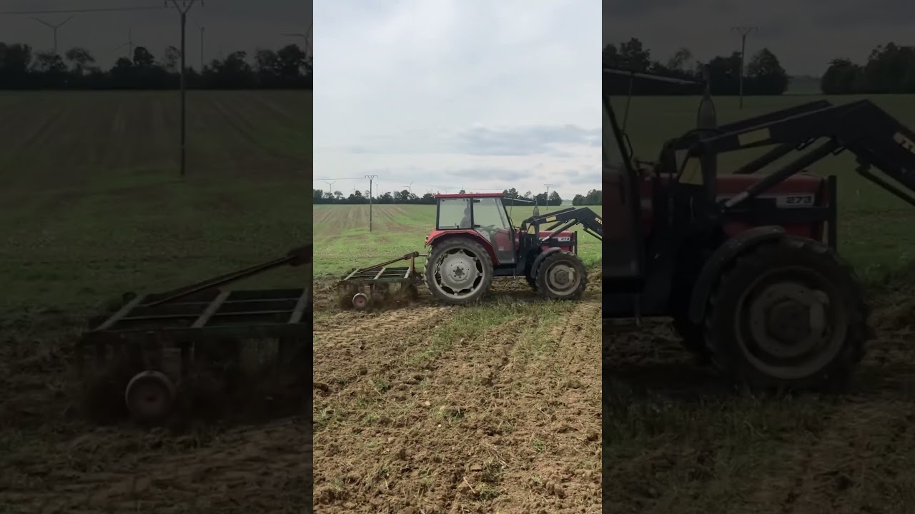 MF 273 Allrad mit Knoche Grubber