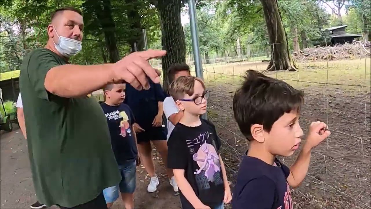 Pedalkart Karlsruhe Kindergeburtstag & Husky Erlebnisse