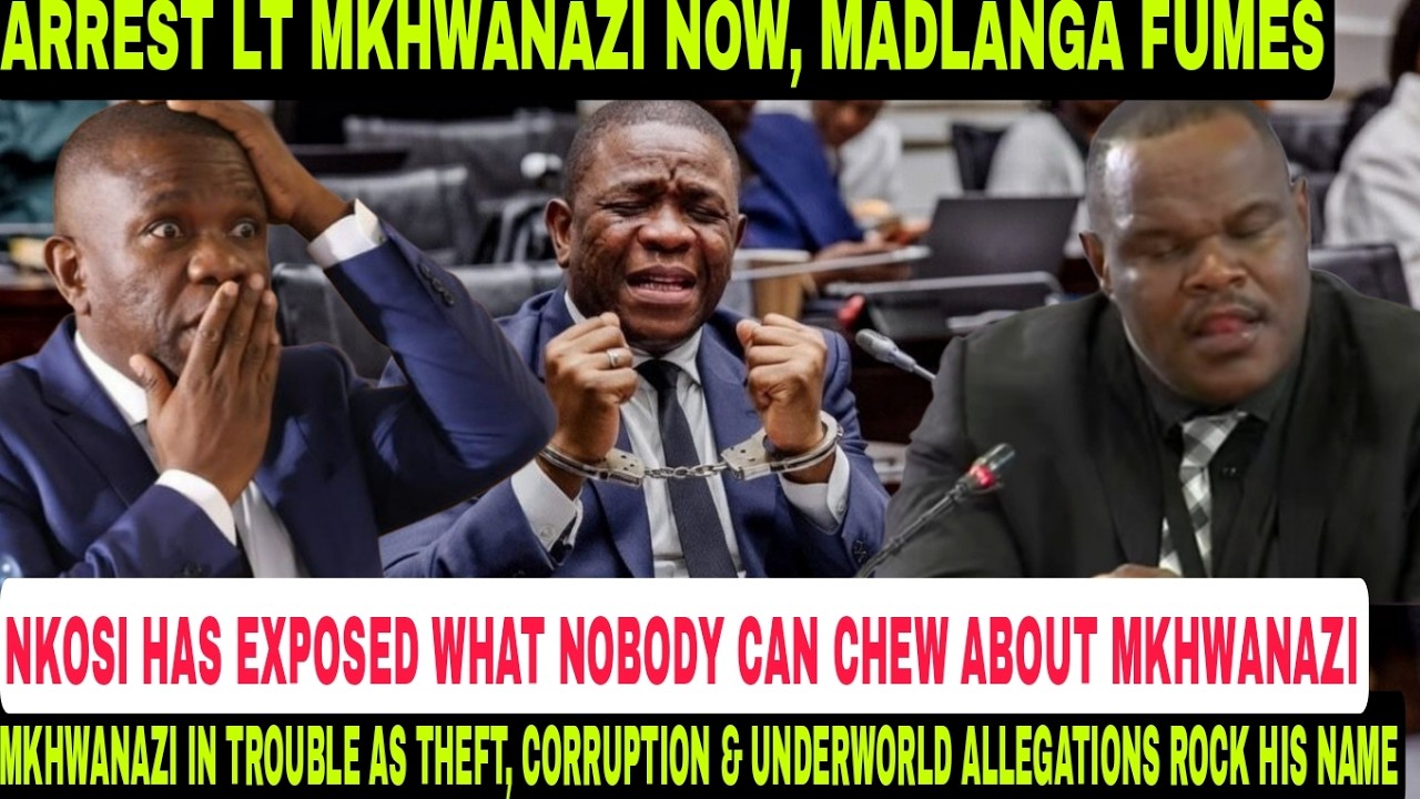 ARREST MKHWANAZI NOW - Madlanga Fumes As NKOSI Exposes Theft, Corruption Scandal Against Mkhwanazi