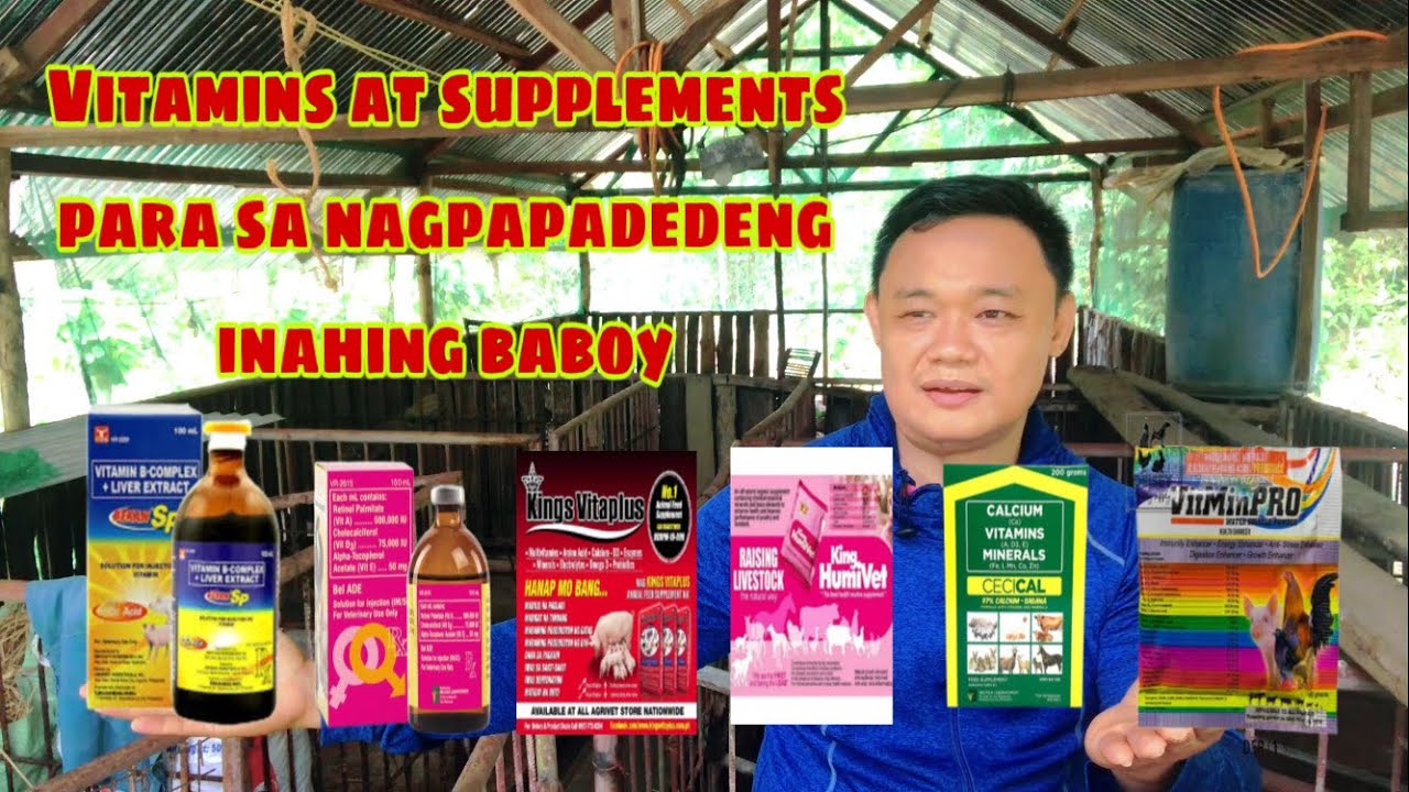 Ano pwedeng vitamins supplements sa nagpapadedeng inahing baboy | Ryan Patenio