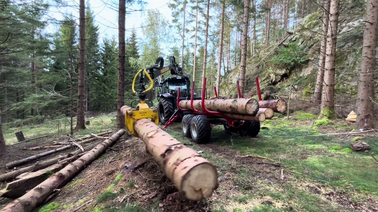 Skogsarbeid med Valtra a115 og Igland 380 tømmervogn, Henter gammelt tømmer i skogen.