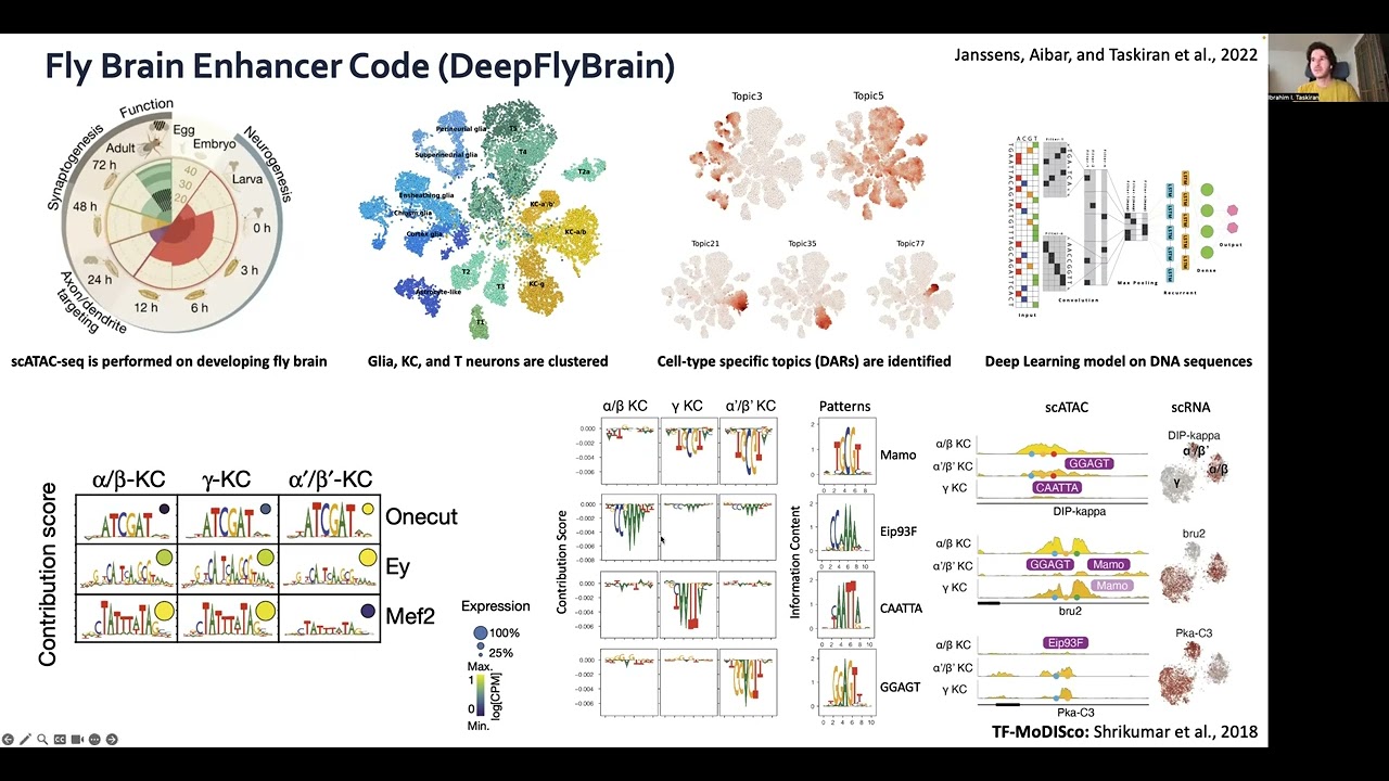 Cell type directed design of synthetic enhancers - Ibrahim Ihsan Taskiran - RegSys - ISMB/ECCB 2023