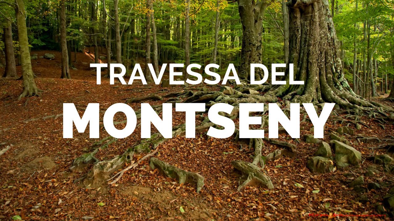 Travessa del Montseny