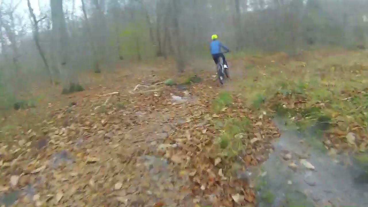 Single VTT with Davide Cocciola
