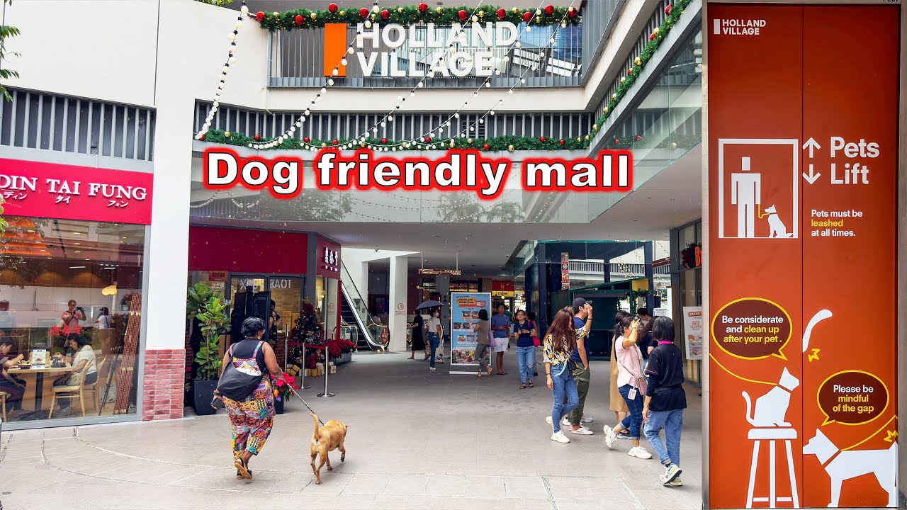 One Holland Village mall. New dog friendly mall in Singapore