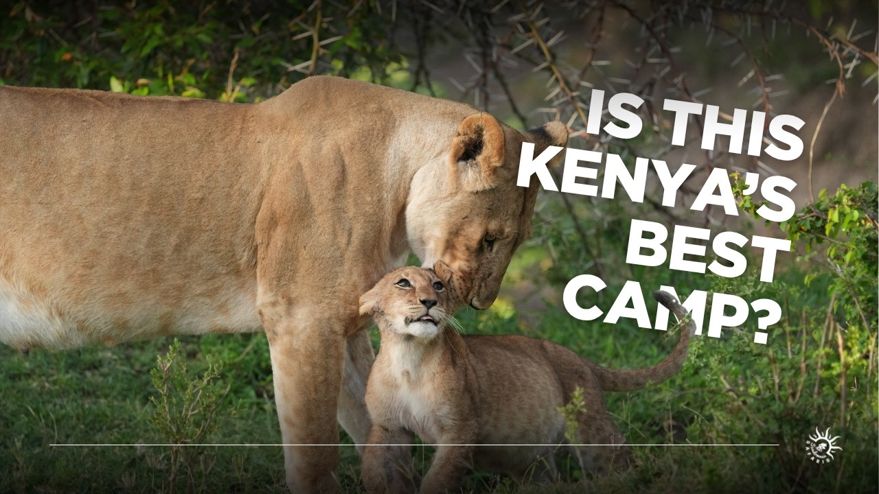 Luxury Tented Camp Experience in Kenya's Mara Region