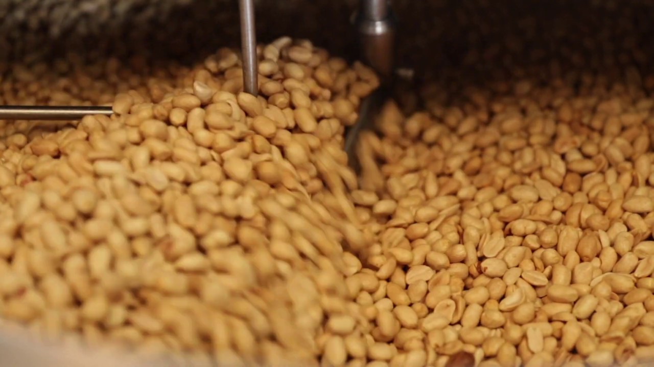 Nut Roaster 'Pisto Mega' | Roasting Salted Peanuts