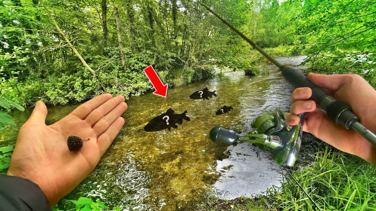 Pêche du CHEVESNE à VUE en STREET-FISHING !! 😍