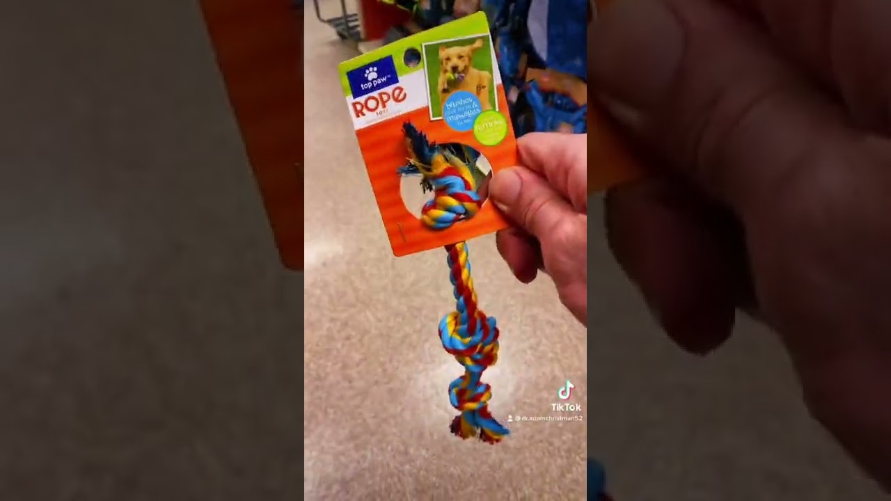 Yes and No to These Dog Chews & Chew Toys