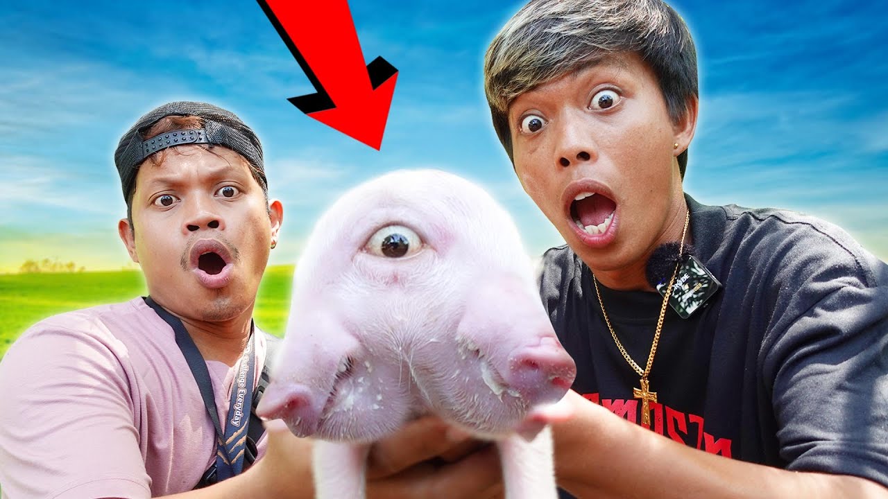 Rarest Animal On Earth 100% Real