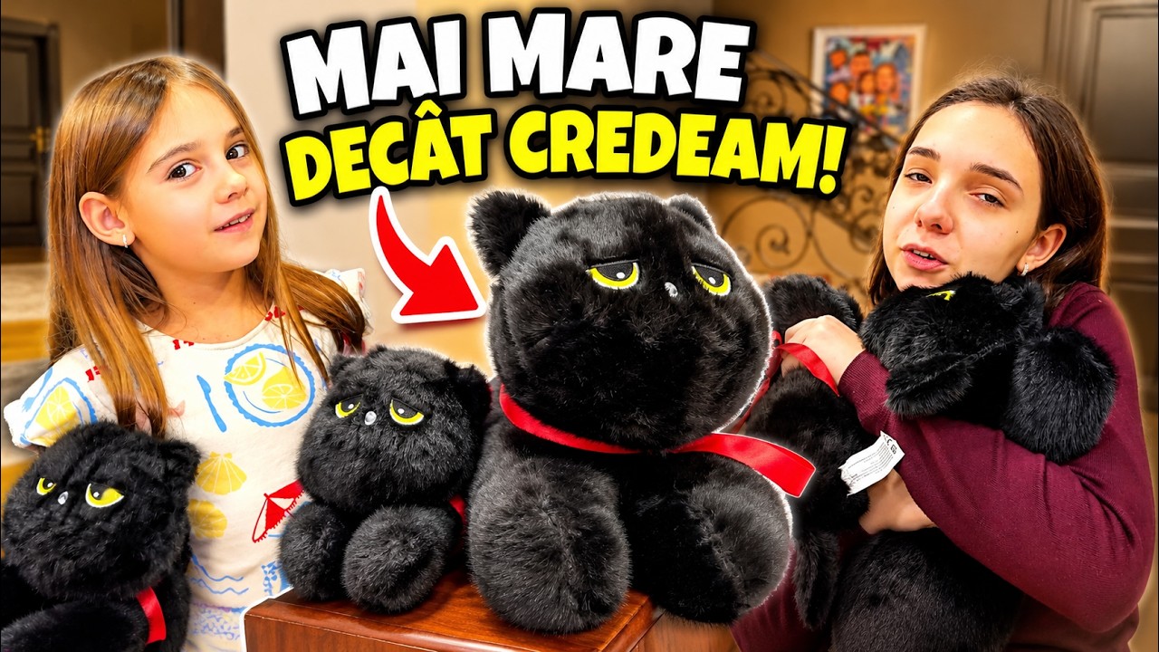 🐈‍⬛ NEGRUȚ XXL cel mai MARE PLUȘ DE PÂNĂ ACUM a ajuns pe marastefania.ro 💝 