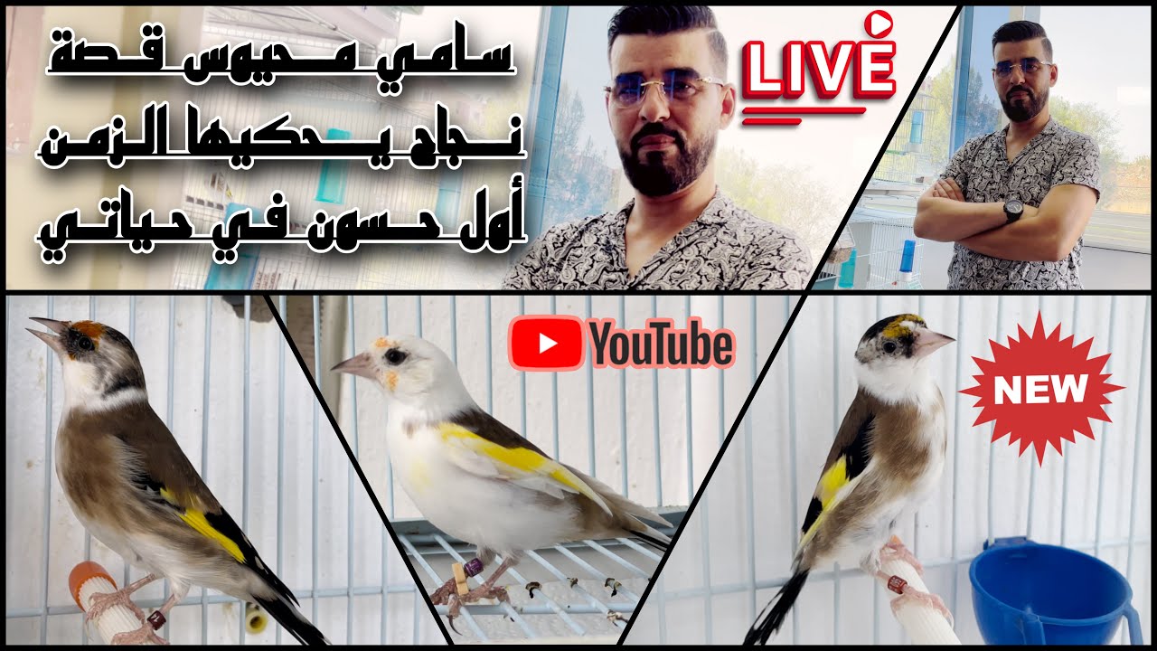 🔴 لأول مرة سامي محيوس يحكي قصة نجاحوا في عالم الطيور ا فشلك اليوم يعني نجاحك غدًا ا تهلاو  فلمقنين