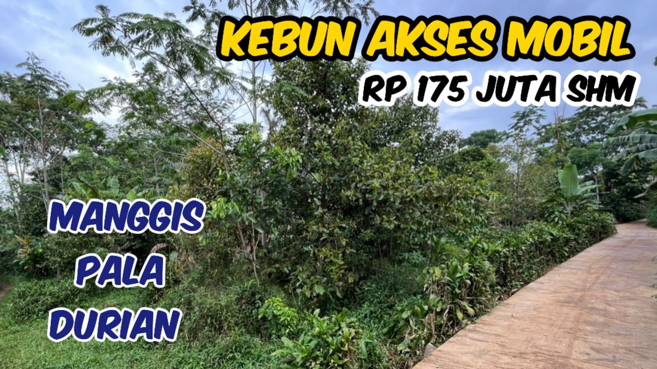 Jual Tanah Kebun Manggis Durian Pala Luas 965 m2 SHM Harga Rp 175 Juta Nego Di Bojong Purwakarta
