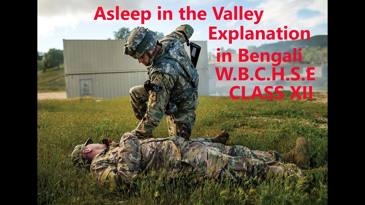 Asleep In the Valley,Poetry by Rimbaud Explanation in Bengali
