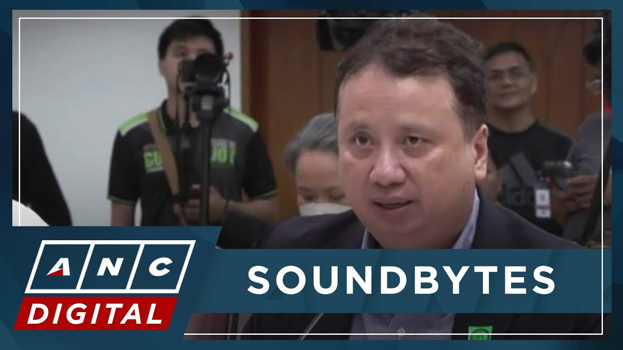 WATCH: NGCP Vice Chairman Henry Sy Jr. defends corp's performance, security at House hearing | ANC