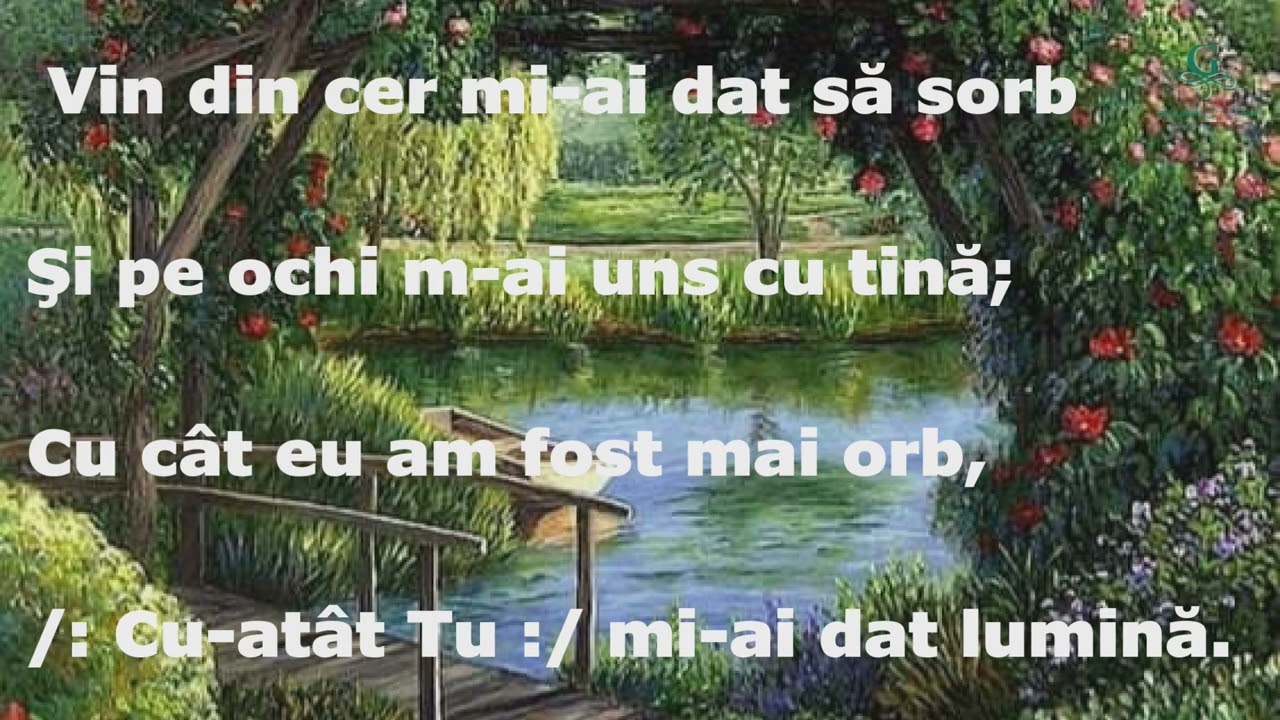 Sunt un bulgăraş prea mic -- SSHorj